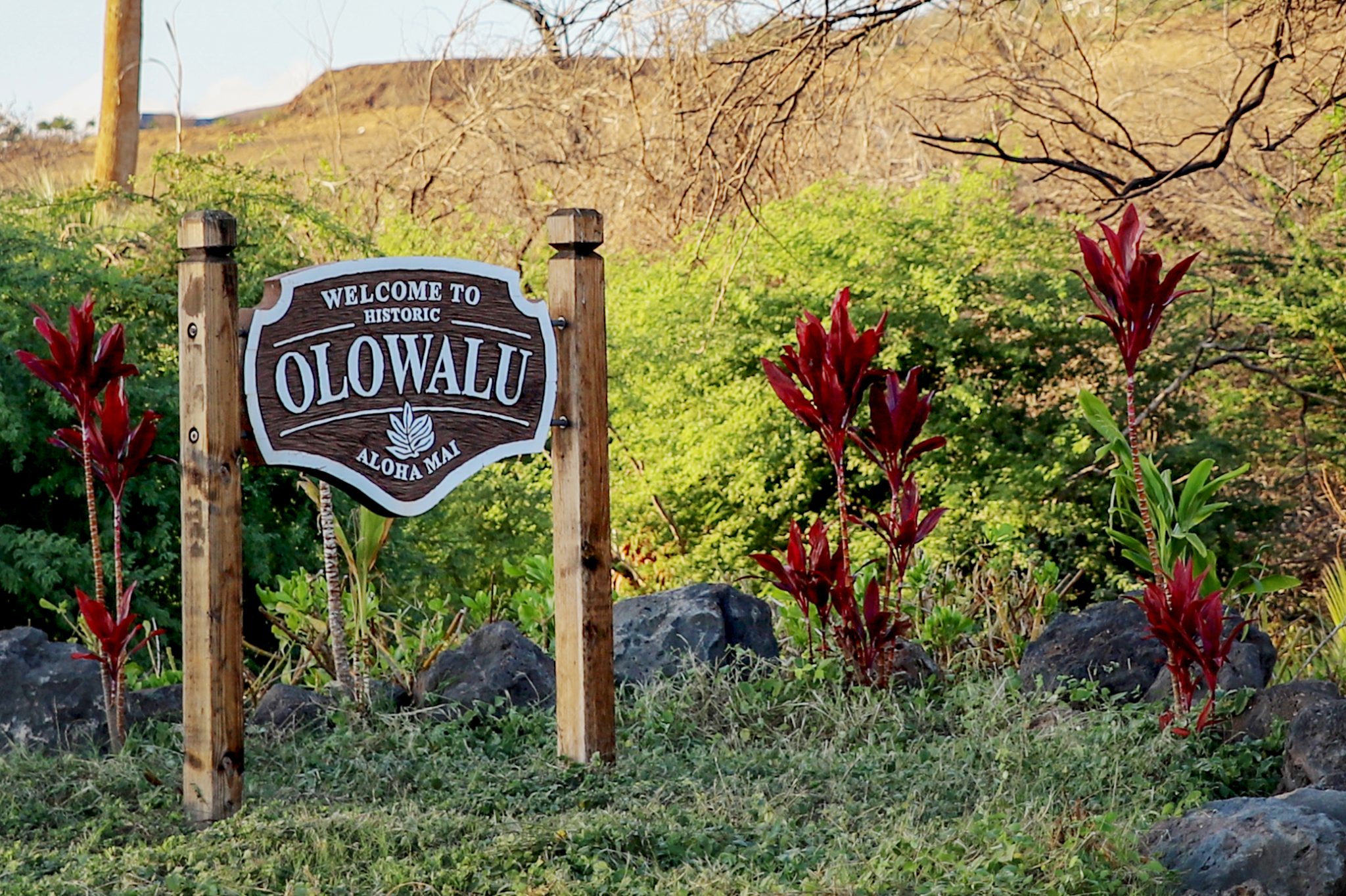 The State Just Cracked Down On This West Maui Water Company Honolulu