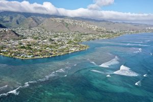 New Coral Disease Forecast Tool Shows High Risks Of Summer Outbreaks In Hawaii