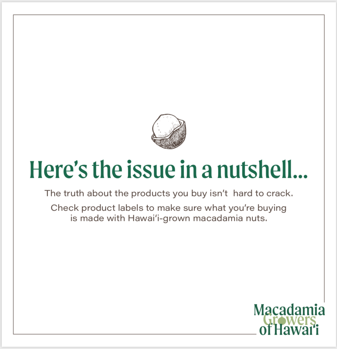 Hawaii Farmers Struggle As Worldwide Macadamia Market Goes Nuts