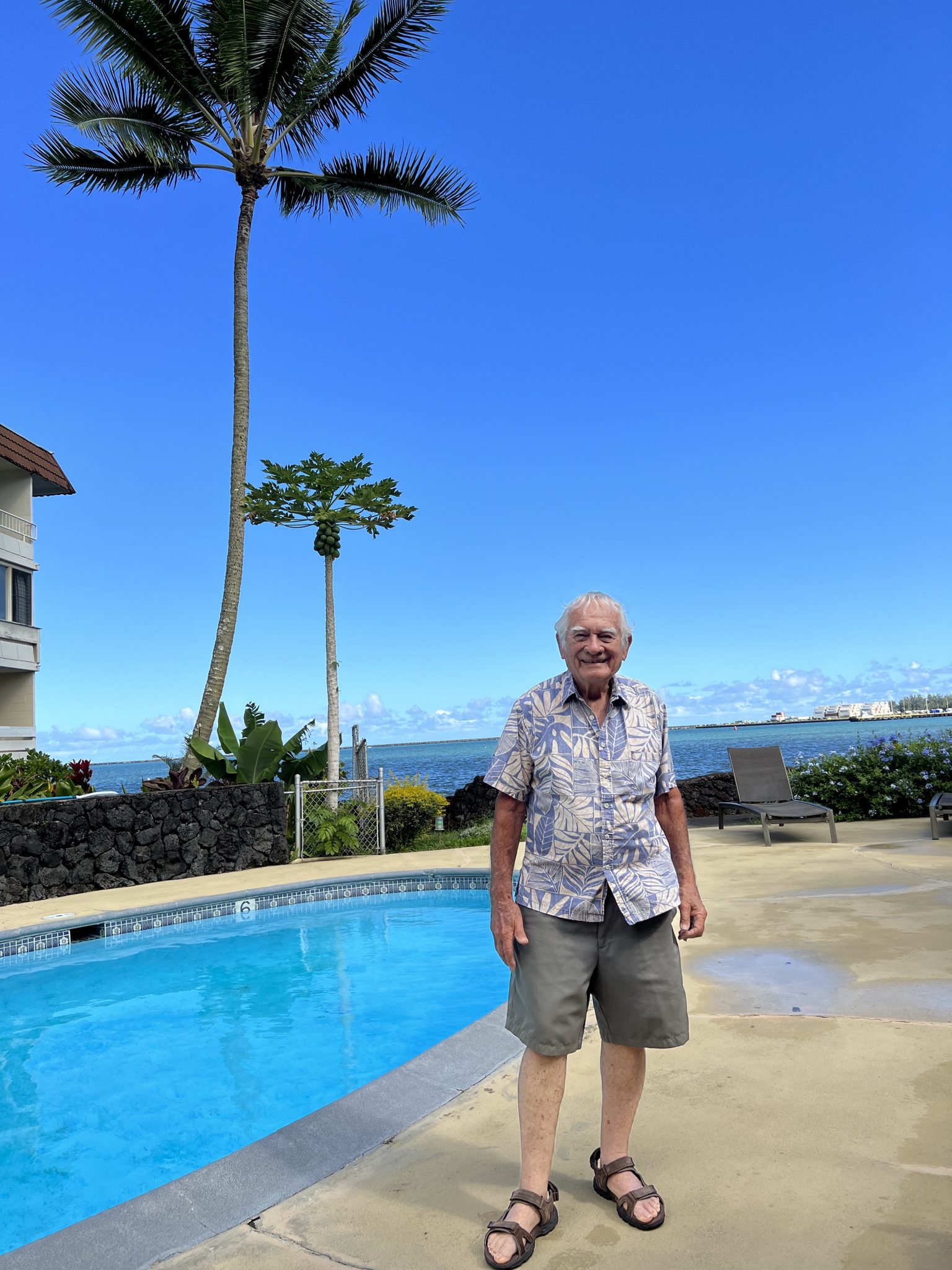 Banyan Tree Wasp Infestation Highlights Urban Decay In Hilo Waterfront ...