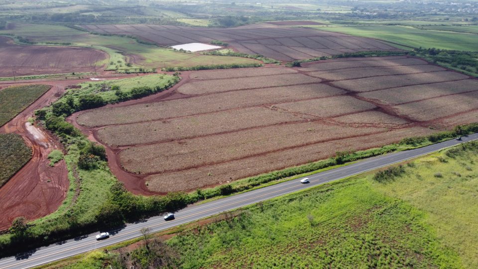 Peter Savio's New Farming Development Is Unconventional But Locals