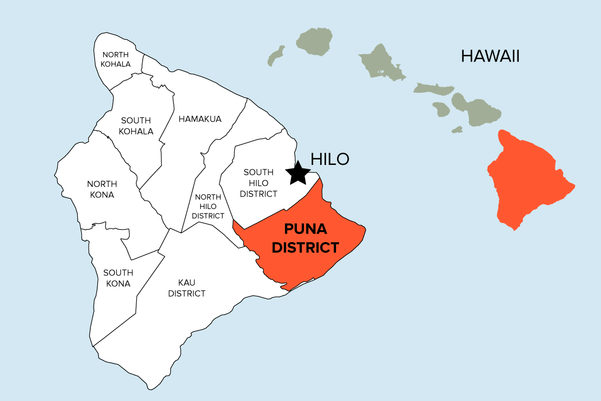 Puna Is The Fastest Growing Place In Hawaii. But It Comes With A Catch