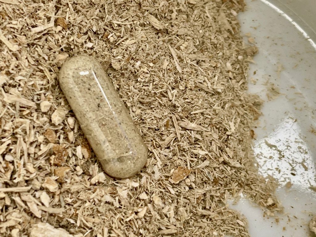 Psilocybin mushroom ground up in capsule background