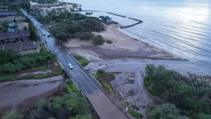 Maui Is Mapping Its Wetlands To Protect Environmentally Sensitive Areas