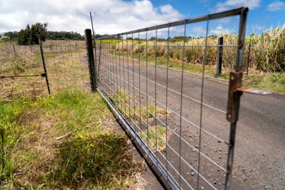 A Big Island Rancher Gated Off This Private Road Long Used By The Public
