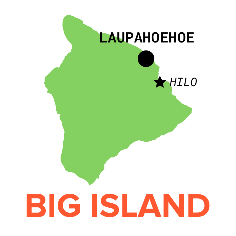 A Big Island Rancher Gated Off This Private Road Long Used By The