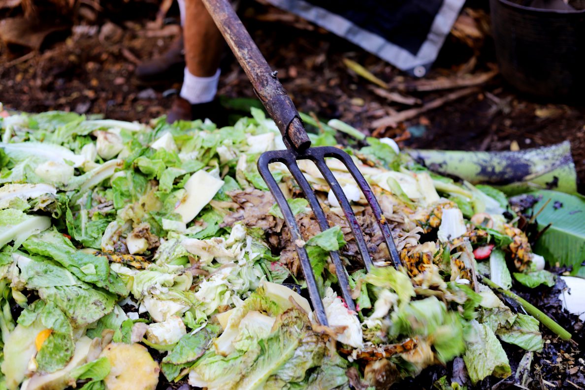 Maui's Food Waste Is Causing A Big Problem. Now, Some Residents Are