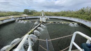 607,000 Gallons Of Wastewater Released Into Hilo Bay