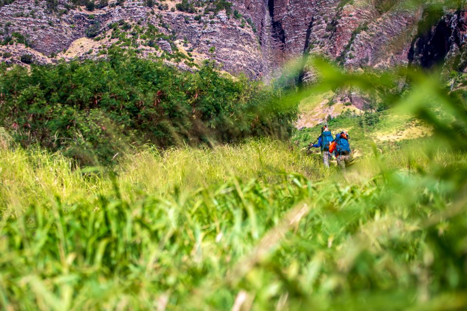 Access Is Major Issue When Fighting Oahu’s Wildfires, City Council Told