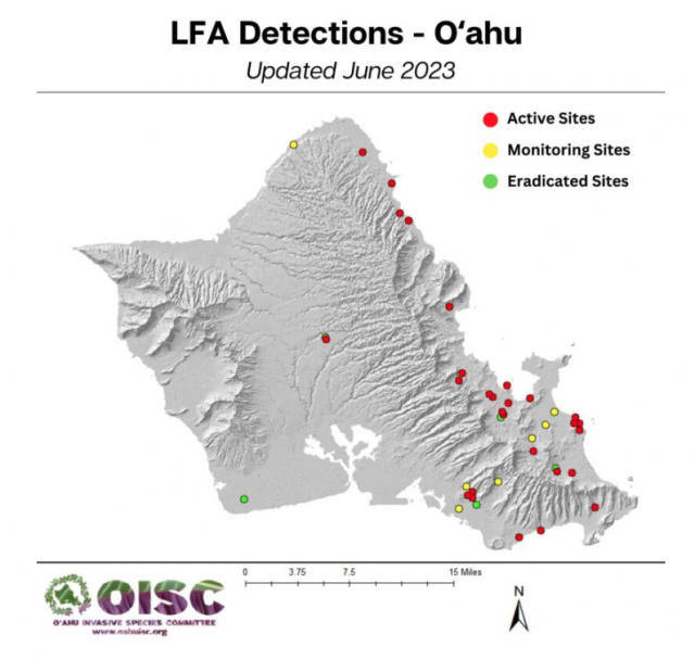 Invasive Species Are Rampant On Oahu And Stakeholders Are Calling Out