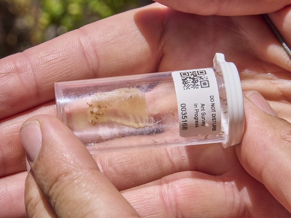 December 2024: Proposed Biosecurity Funding