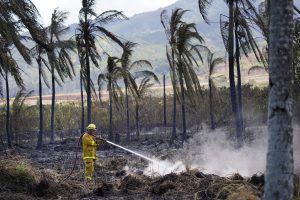 The Honolulu Fire Department works on putting out a fire Monday, Sept. 25, 2023, at Dillingham Ranch in Mokuleia. (Kevin Fujii/Civil Beat/2023)