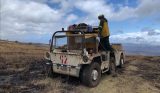 A picture of a Vietnam-era Gama Goat, a small truck-like vehicle, that are good for off-road use but difficult to maintain. The gama-goat is obviously old.