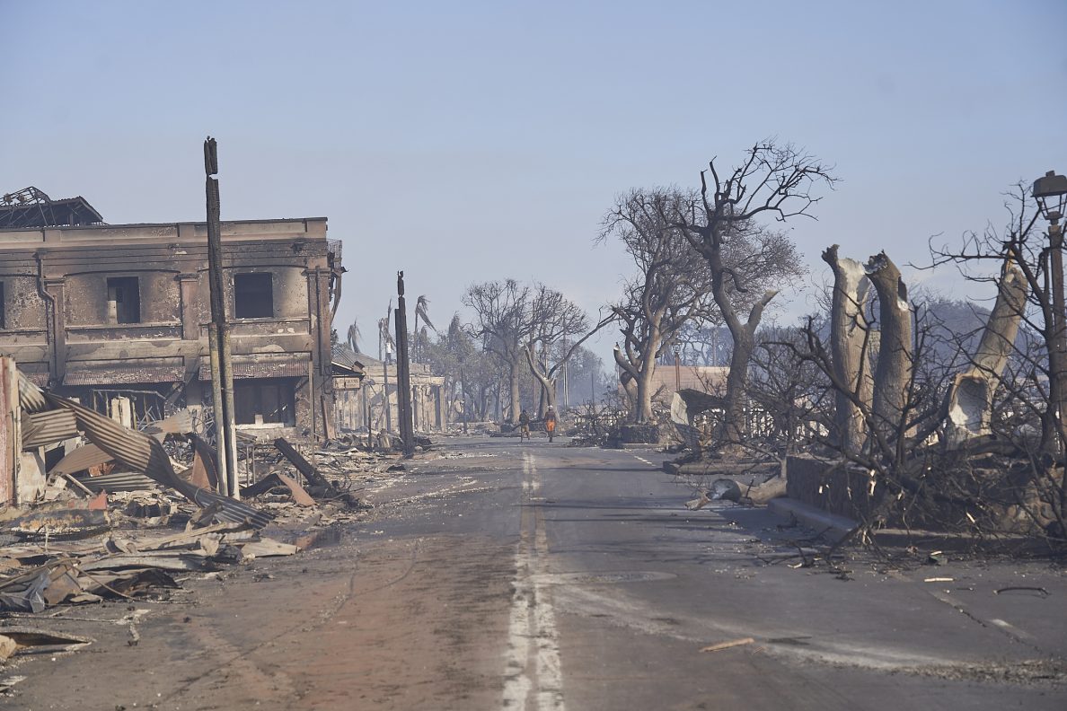 Denby Fawcett The Importance Of Salvaging Even Small Items From