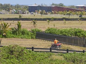 North Shore Landowner May Donate Her Property To Avoid Environmental Fines