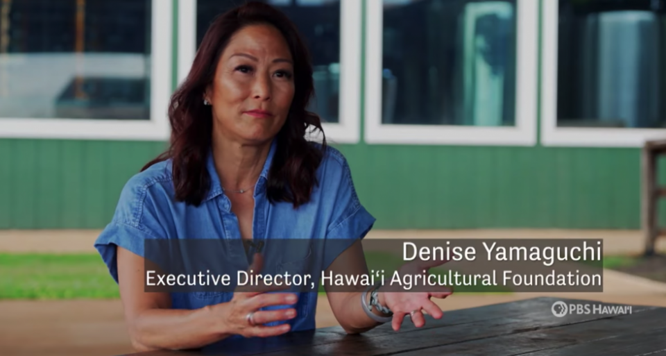 2 Different Nonprofits Are Paying This CEO Hefty Salaries. She Says She Works Full Time For Each One