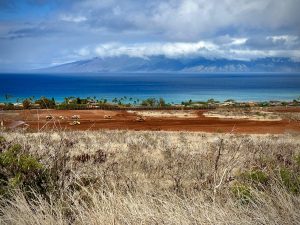Construction crews work at the Pulelehua development in Kapalua in West Maui in October. (Nathan Eagle/Civil Beat/2023)