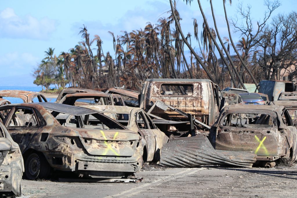 Lahaina Fire Aug. 17, 2023, photographs. (Courtesy of the DLNR)