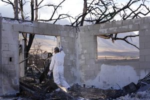 Mario Siatris looks outside of the walls of his destroyed home Monday, Nov. 13, 2023, in Lahaina. Their homes and neighborhood were destroyed in the Aug. 8 fire. (Kevin Fujii/Civil Beat/2023)