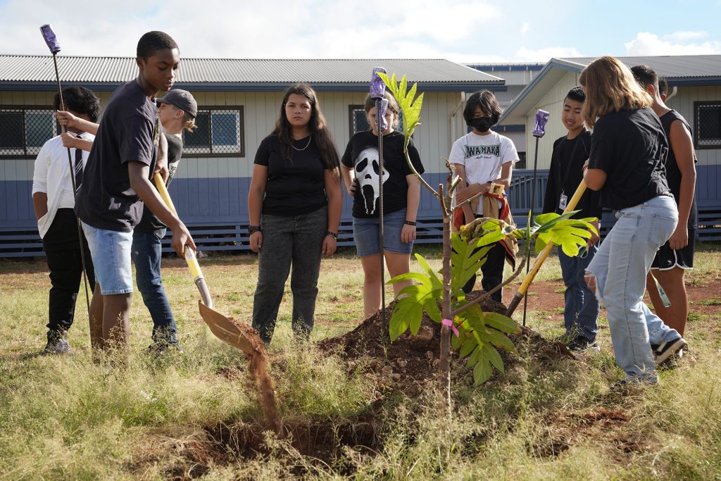 Most Hawaii Schools Have Gardens — But Few Kids Can Eat What They Grow