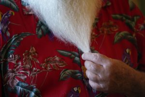 Ron Proctor strokes his beard in his temporary residence Thursday, Dec. 7, 2023, at the Royal Lahaina Resort in Lahaina. Proctor who has been Santa Claus for almost three decades lost everything in the Aug. 8 fire. (Kevin Fujii/Civil Beat/2023)