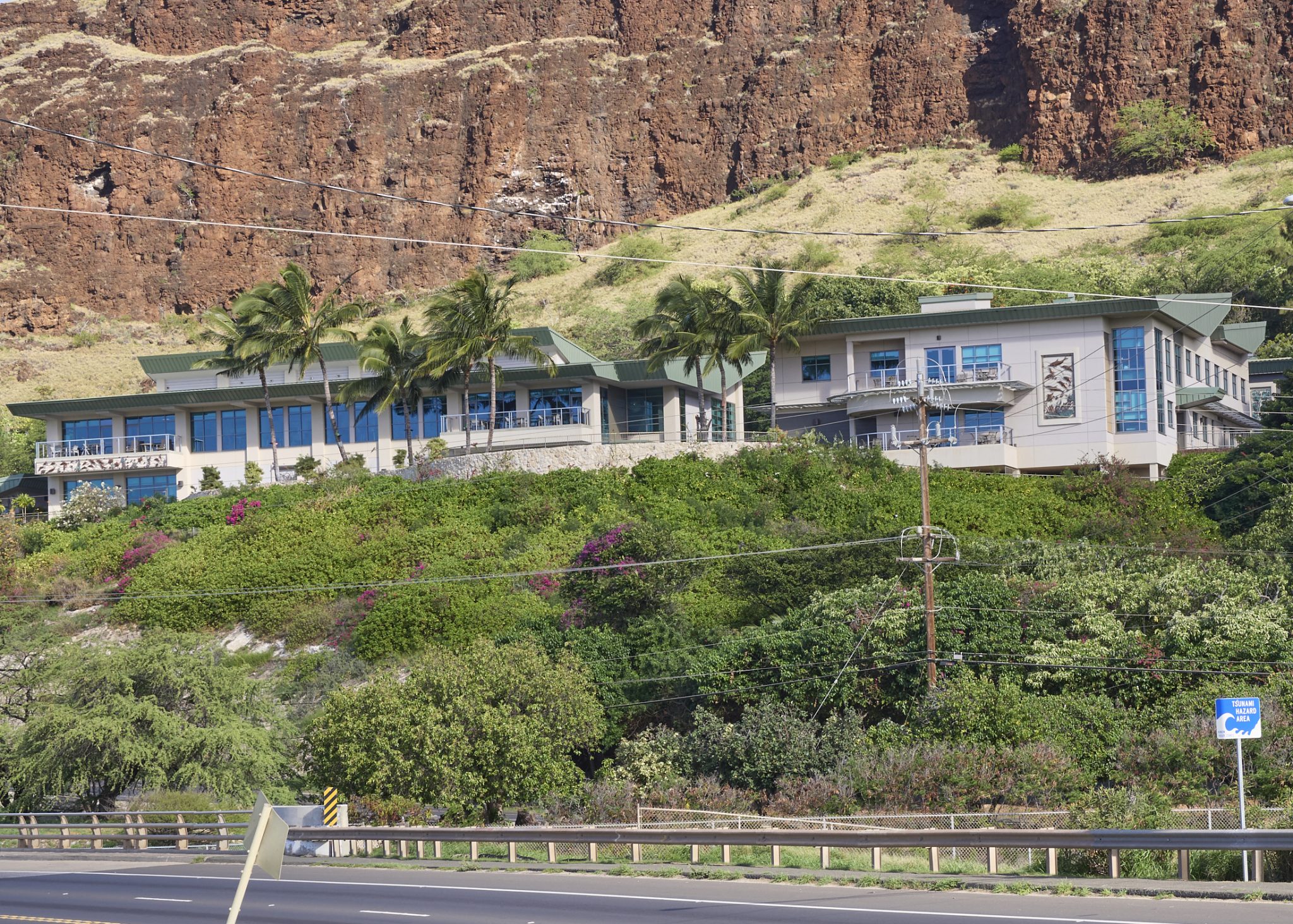 Oahu Hospitals Are Bolstering Security With HighTech Gadgets And Additional Guards Honolulu