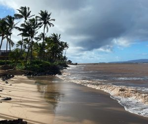 Hawaii Moves To Improve Water Testing At Popular Beaches