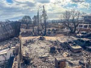 Retired Lanny Daise said it required three trips to meet with disaster workers to complete the needed right of entry form so the U.S. Army Corps of Engineers can remove what's left of his Lahaina home at 519 Aki St. that was built by his wife's grandparents in the 1960s. (Lanny Daise)