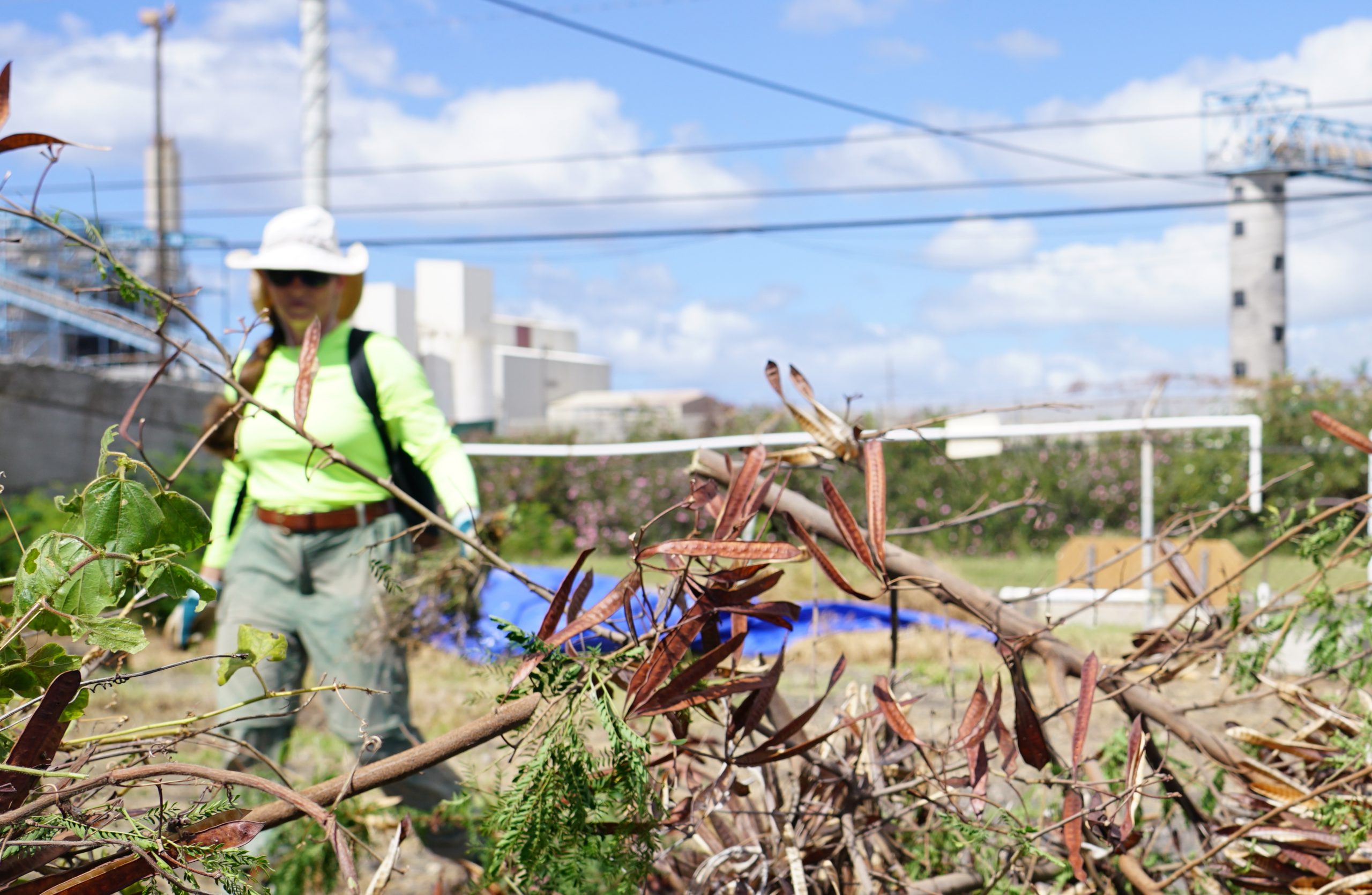 Oahu's Construction Waste Could Food For Crops At A New Kapolei