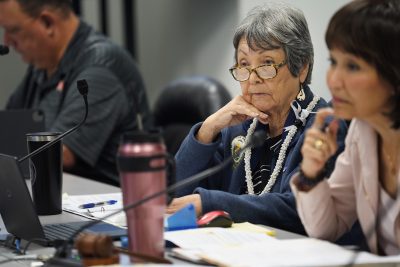 Circling The Wagons Around Sen. Michelle Kidani Is Not Serving The Public