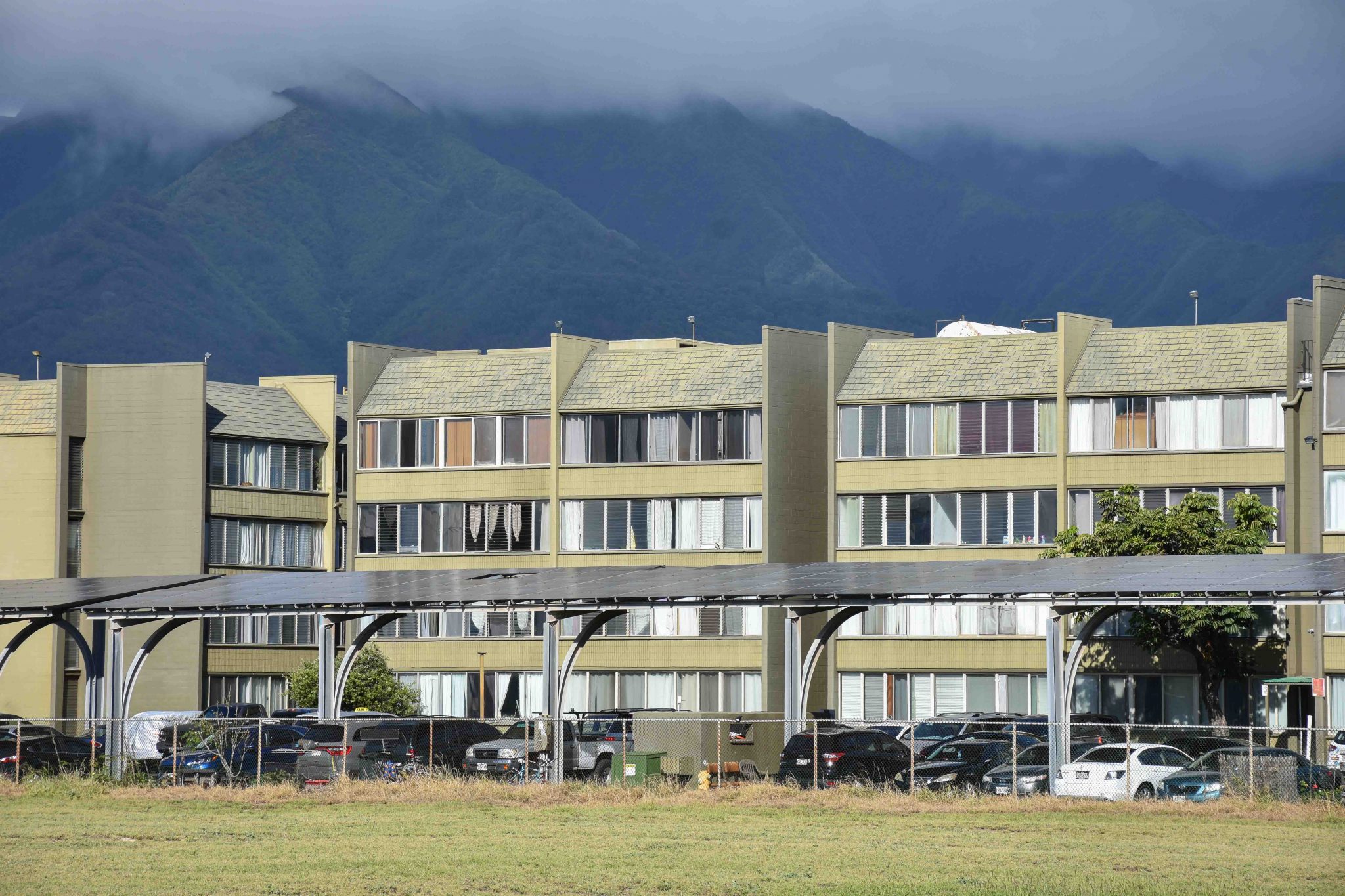 Harbor Lights Condominium in Kahului on Maui. (Cammy Clark/Civil Beat/2024)