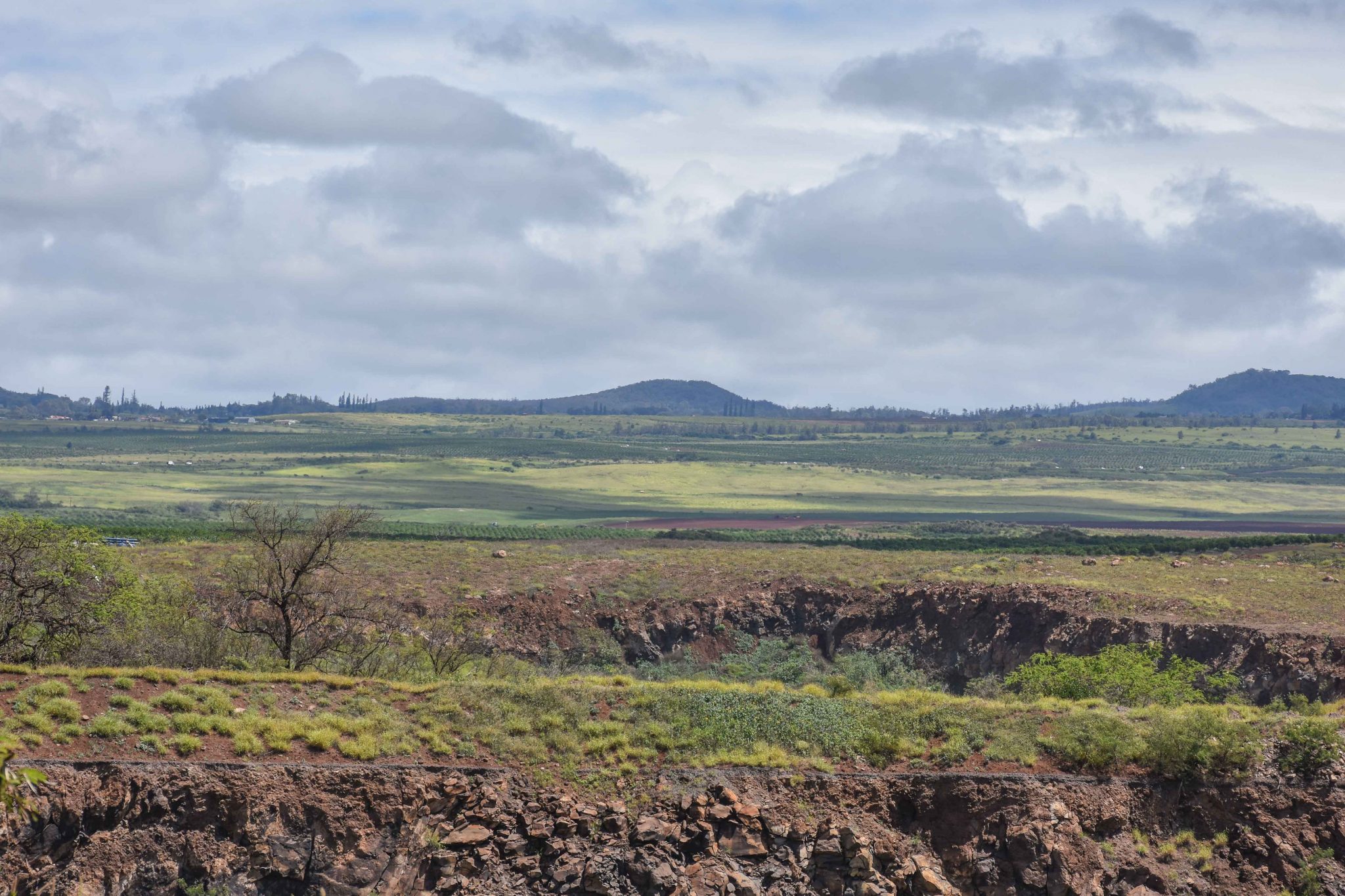Maui County is considering trying to acquire this 20-acre parcel of quarried land next to the Central Maui Landfill by eminent domain for use as the final dump site of debris and ash from the Lahaina wildfire. (Cammy Clark/Civil Beat/2024)