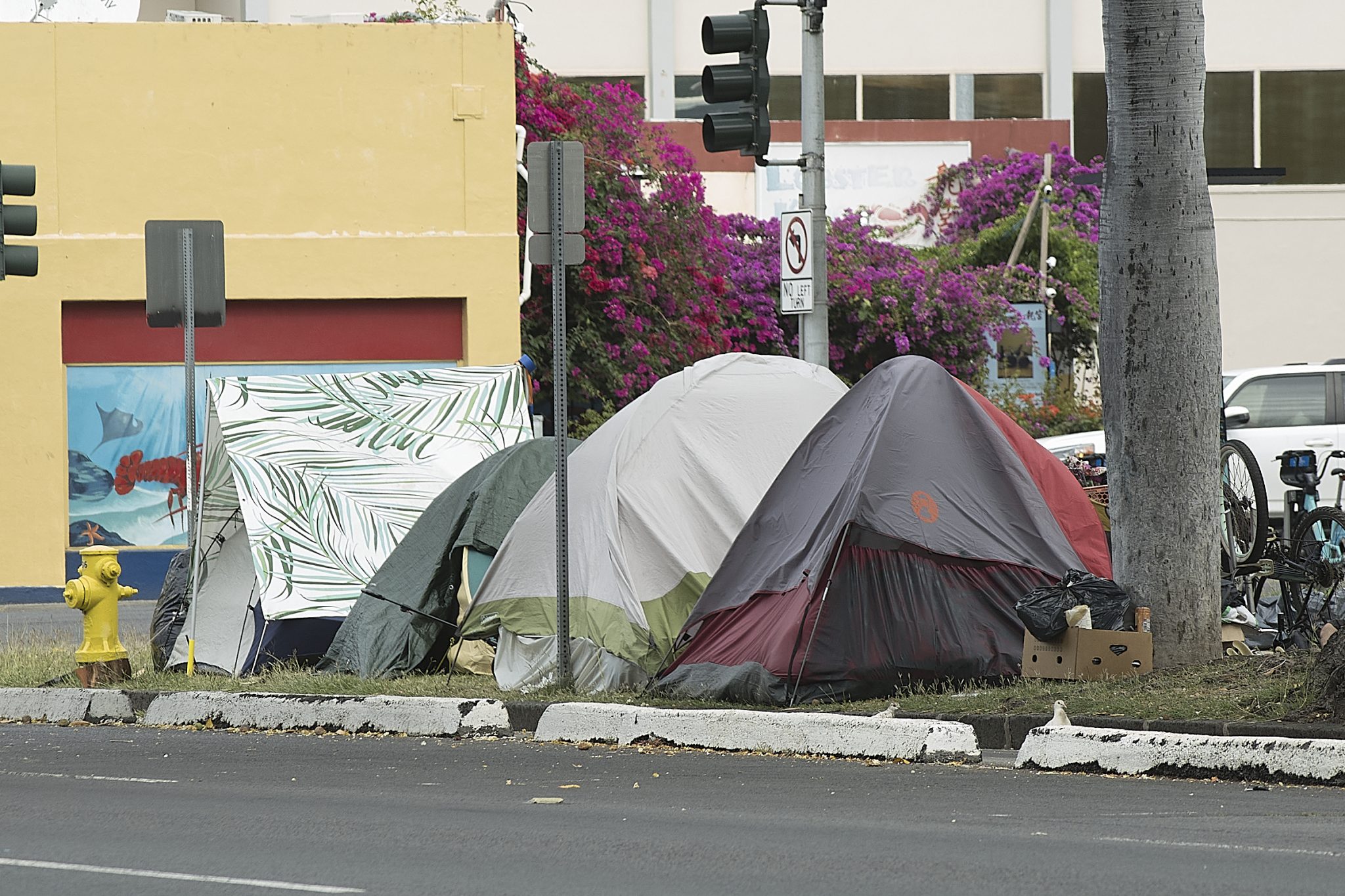 Homeless camps abound along King Street in Honolulu with many exceeding the typical small tent or cardboard box  designed to shelter for the elements. Photographed March 25th, 2024