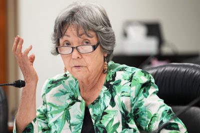 Hawaiʻi Sen. Michelle Kidani Says She’s Capable Of Handling Her Job