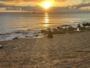 The Sunshine Blog: Election Challenges Dismissed As Fundraisers Ramp Up