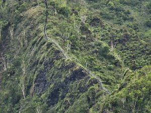 A view of the Haiku Stairs from the intersection of Kuneki Street and Haiku Road in Kaneohe. The City and County of Honolulu will begin their removal of the once famous stairs beginning in June using the Nakoa Companies (David Croxford/Civil Beat/2024)