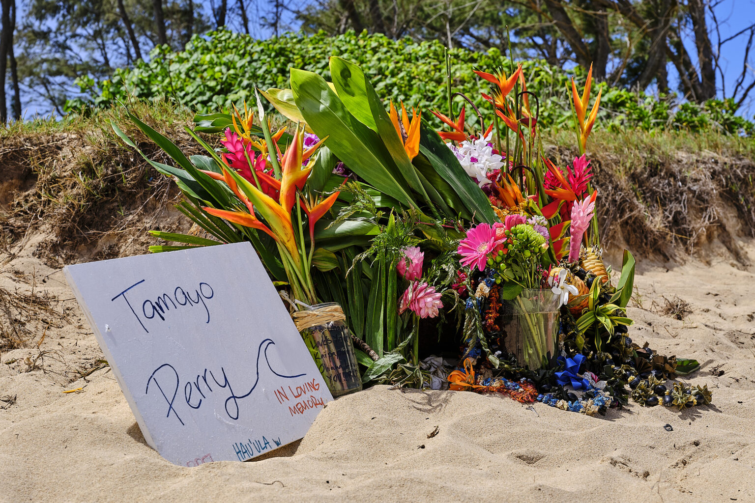 Shootz! Memorial For A Waterman And Other Seaside Scenes - Honolulu ...