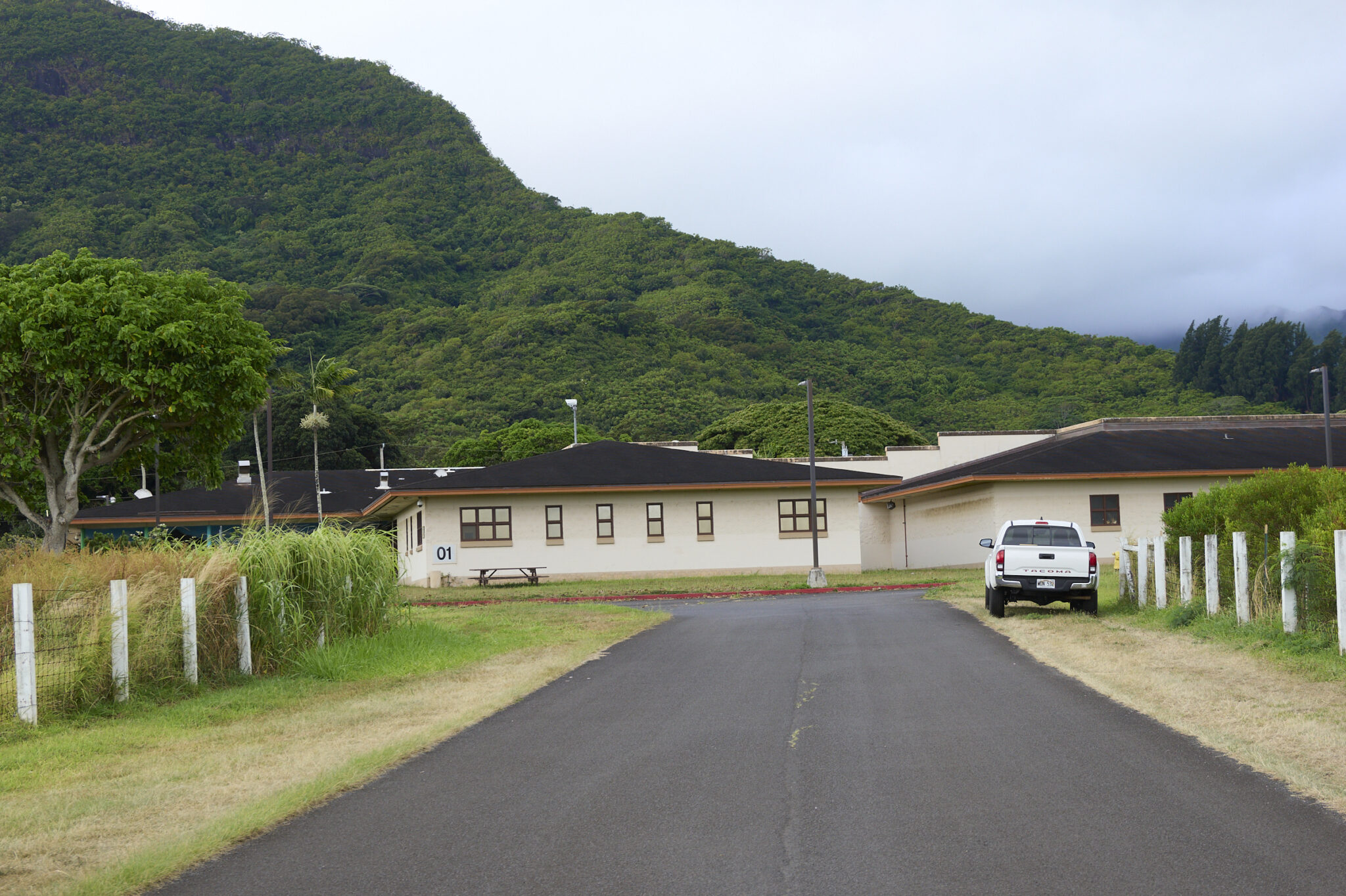 Plants, Banana Groves, Loi maintenance, Taro, signs and implements of agricultural benefit are all part of the Kupa ‘Aina program being carried out at the Hawaii Youth Correction Facility in Kailua. Photographed July 19th, 2024.(David Croxford/CivilBeat/2024)