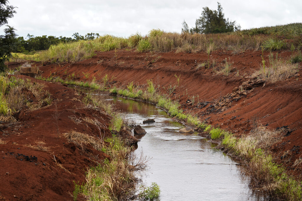 An irrigation ditch flows at the Dole pineapple fields Monday, Aug. 5, 2024, in Wahiawa. (Kevin Fujii/Civil Beat/2024)