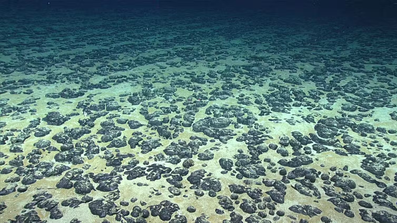 What’s At Stake With Seabed Mining Talks