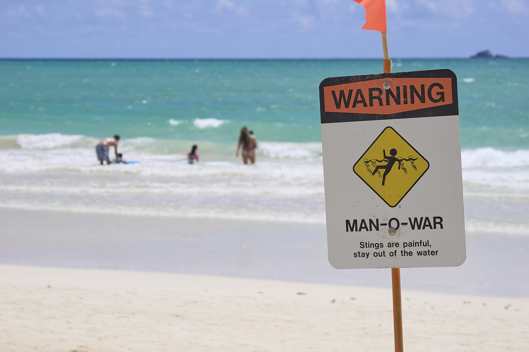 Kurt Lager, Honolulu City and County Ocean Safety Director is photographed at Kalama Beach Park in Kailua where typical safety signs warned of hazardous conditions that beach-goers seemed to ignore as they frolicked in the ocean.(David Croxford/Civil Beat/2025)