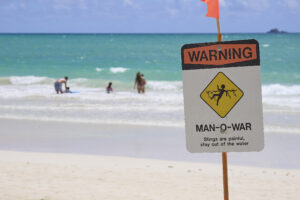 800 Drownings And 12 Years Later, Hawaiʻi To Step Up Anti-Drowning Efforts