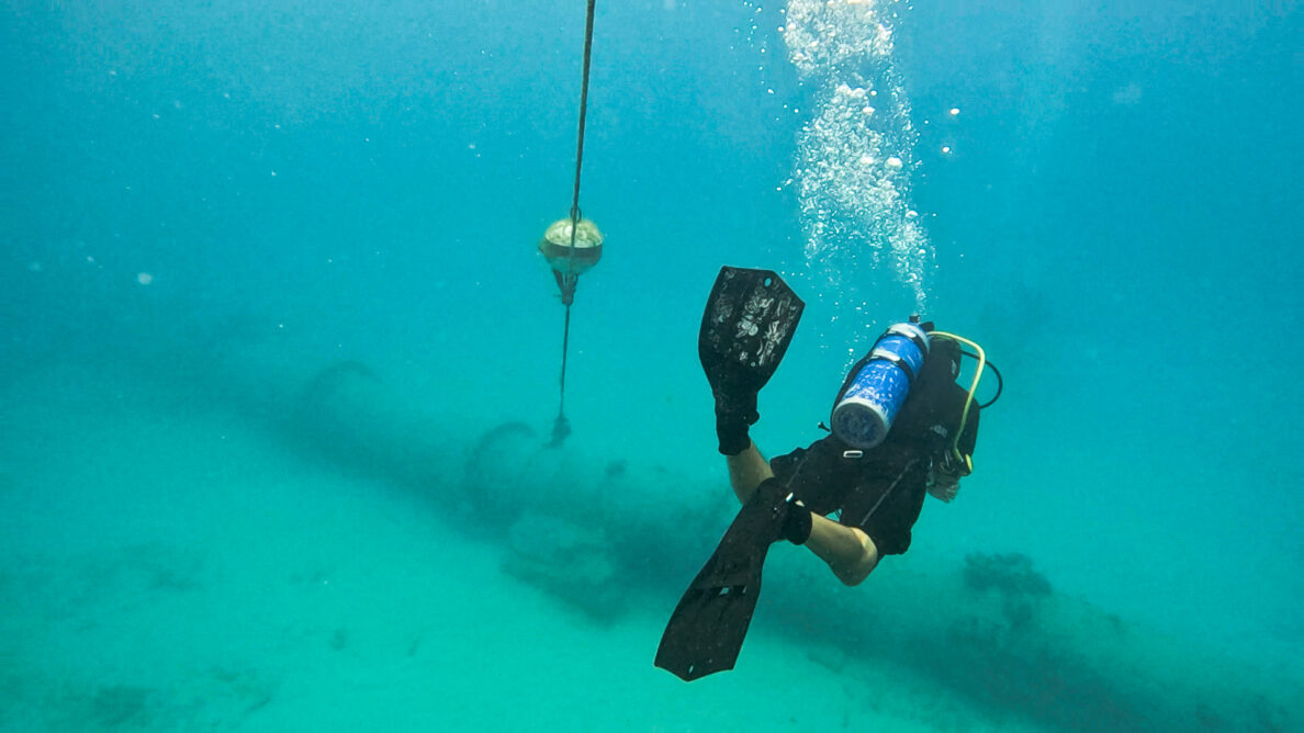 Scuba diver near Kewalo pipe
