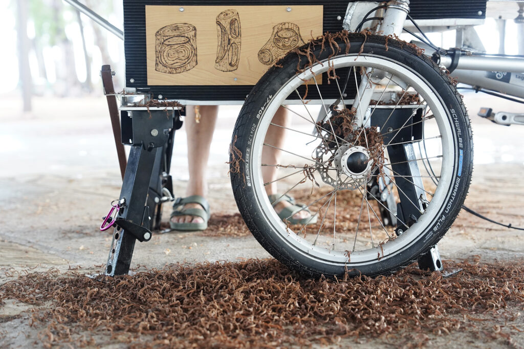 Milo-wood shavings cover the ground and part of woodturner Aaron Hammer’s kitted-out tricycle tire as he creates a wooden bowl Wednesday, July 2, 2025, in Kailua. (Kevin Fujii/Civil Beat/2025)