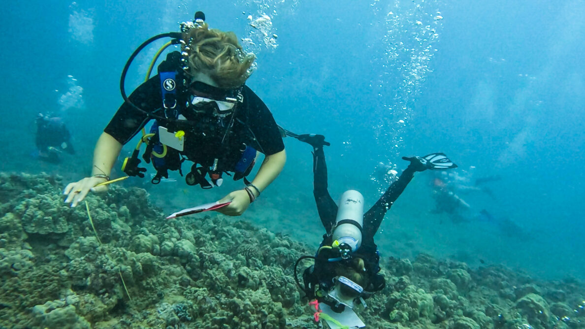 Science divers