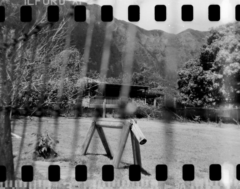 A horse used to practice roping sits next to the second property in Waimānalo where child abuse allegedly took place is photographed Tuesday, June 15, 2025, in Waimānalo. These photos are made for John Hill’s project on child abuse. The photos are of places where alleged abuse took place. (Kevin Fujii/Civil Beat/2025)