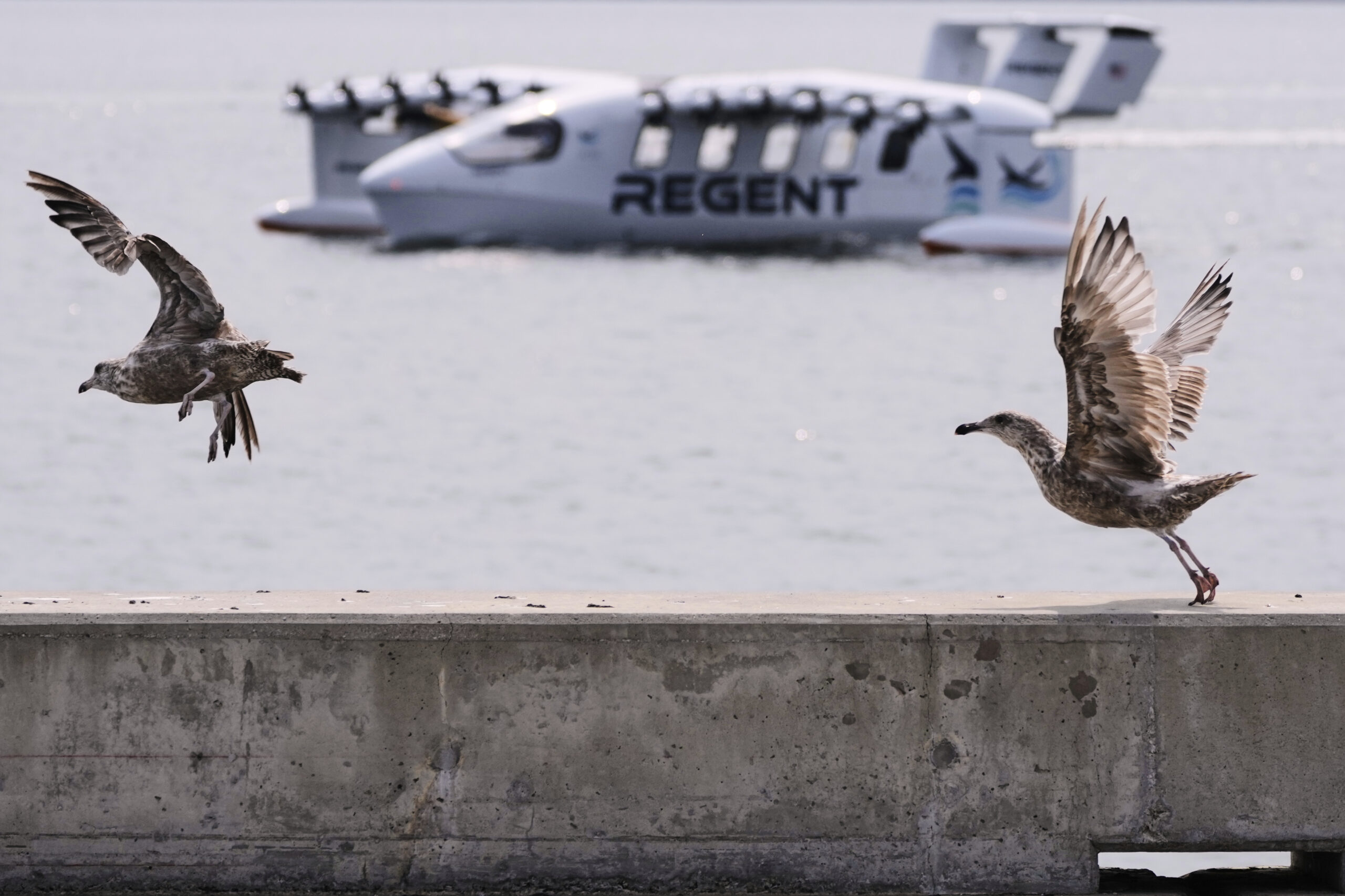 A Winged Ferry That Glides Like A Pelican Could Change Travel And Defense