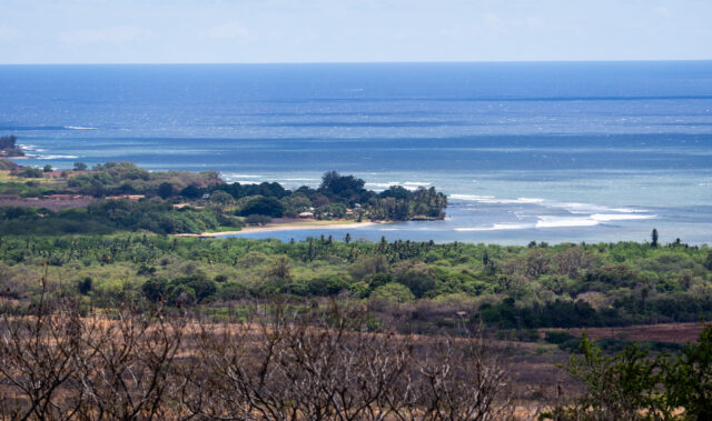 Pakala Beach. The area could become resort land. (Craig Fujii/Civil Beat/2025)