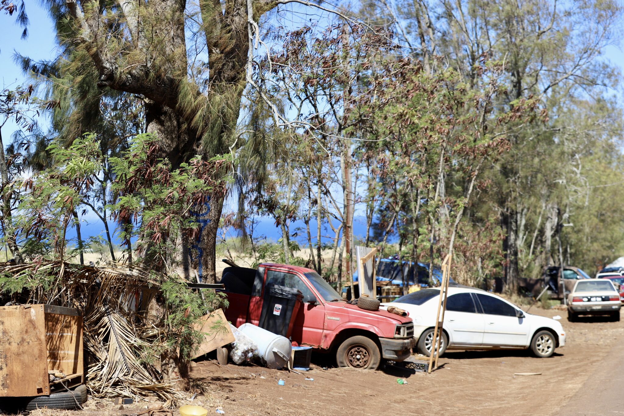For years, North Shore residents have worried about the fire risks associated with a homeless encampment on Holomua Road in Pāʻia. (Erin Nolan/Civil Beat/2025)
