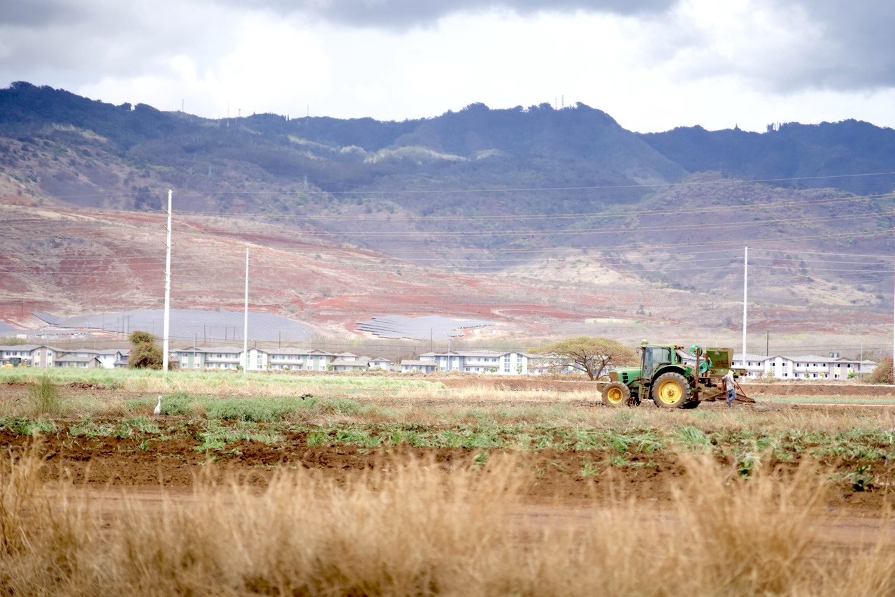 Hawai‘i Farmers Are Investing In Tech To Protect Property And Livestock